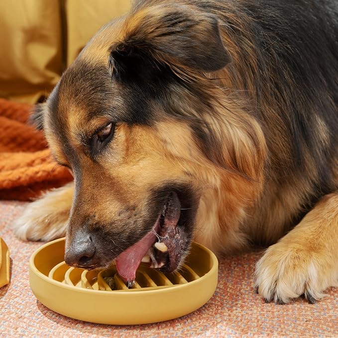 Should We Go? Slow Feeder for Dogs & Puppies, The Slowdown Bowl Silicone Slow Eating, Modern Lick Mat Design, Reduces Gulping, Fits 2 Cups, 7.5” Across x 1.5” Tall, Mealtime Challenge, Medium-Honey