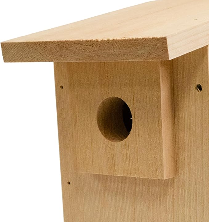 Coveside Basic Western Bluebird Trail Box | Durable Pine Birdhouse with 1.5625" Predator Guarded Entry, Ventilation & Drainage | Eco-Friendly Wooden Nest Box for Bluebirds | Made in USA