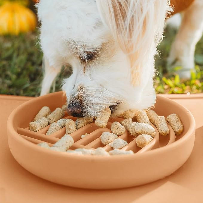 Should We Go? Slow Feeder for Dogs & Cats, The Slowdown Bowl Silicone Slow Eating Mealtime Solution with Modern Lick Mat Design, Reduces Gulping, Fits 1 Cup, 6” Across x 1.25” Tall, Small-Terracotta