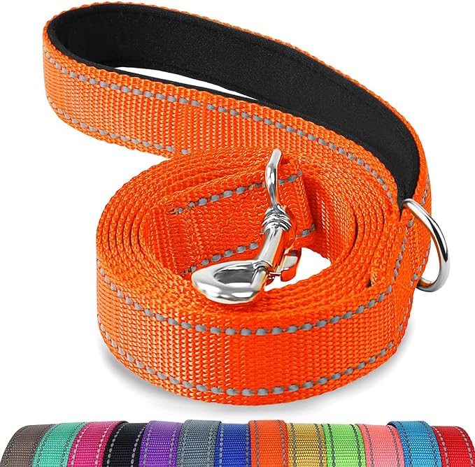Joytale Dog Leash, 5 FT Double-Sided Reflective, Padded Handle Nylon Heavy Duty Leashes for Medium & Large Dogs Walking, Orange