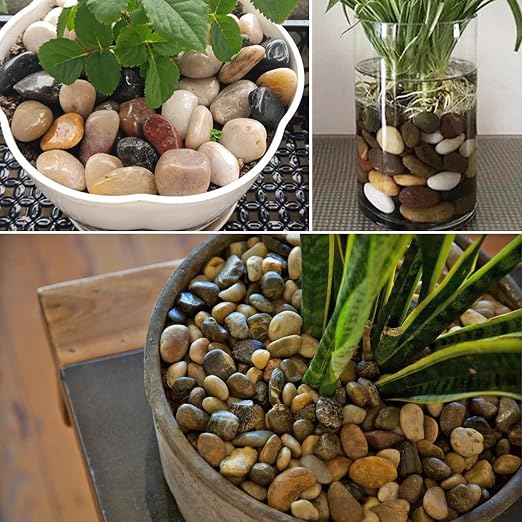 Pebbles for Indoor Plants 2.5 LB Small River Rocks 1"-1.5" Polished Decorative Stones Smooth Aquarium Gravel for Fish Tank Vases Planters Outdoor Landscaping Garden (40oz)