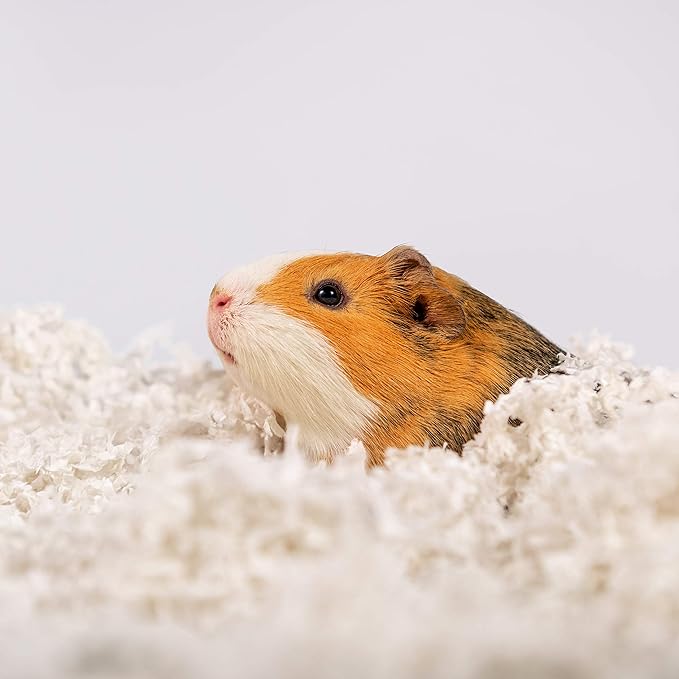 PETSPICK Uber Soft Paper Pet Bedding for Small Animals, White, 56L