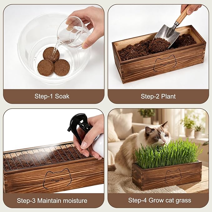 Wooden Cat Grass Planter (no Seeds Included),Cat Grass Kit for Indoor Cats with Anti-Digging Grid, Potting Soil Disks,Watering Bottle and Removable Plastic Liner,Wheat Grass Growing Pot