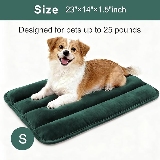 Dog Bed Mat, Reversible Dog Crate Pad with Washable Kennel Mat and Soft Foam, Flat Pet Bed for Dogs & Cats, for Crates Carriers & Travel (Green, 23" L*14" W*1.5" Th)