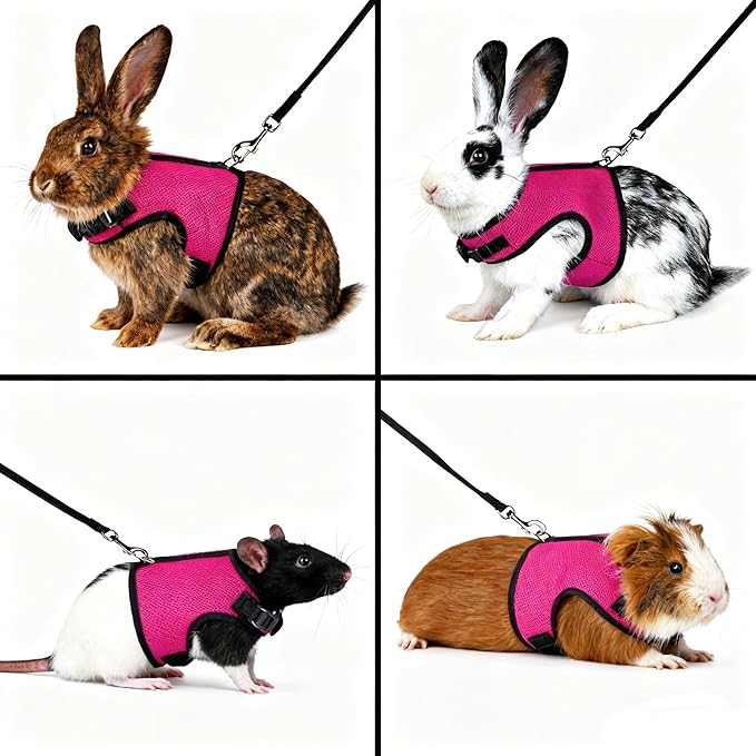Hamster Harness and Leash Escape Proof,Soft Rabbit Mesh Vest Adjustable Buckle for Bunny Ferret Guinea Pig Walking Small Animal Pets Rat, Hot Pink M
