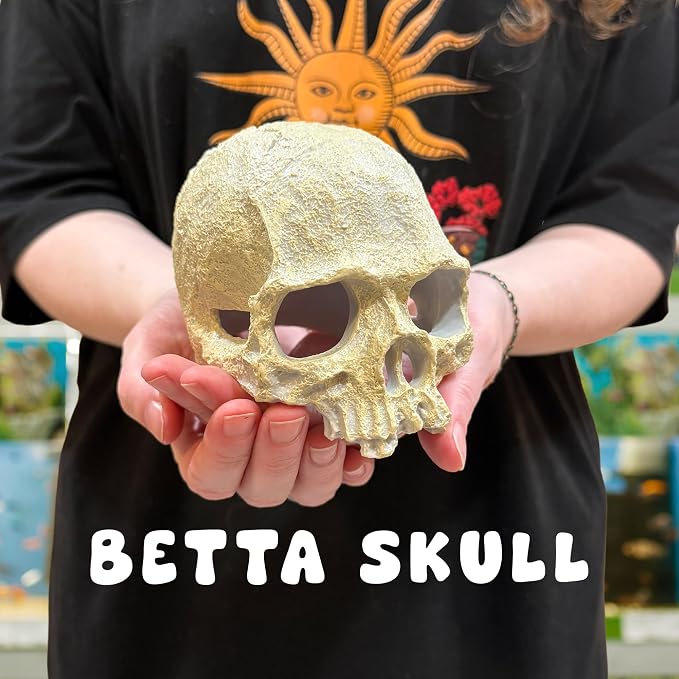 Aquarium Human Skull Decor for Betta Fish, Sinking Hide Shrimp Hide | Realistic sinking aquarium skull creates a cave-like betta hideout and shrimp shelter while adding gothic freshwater decor