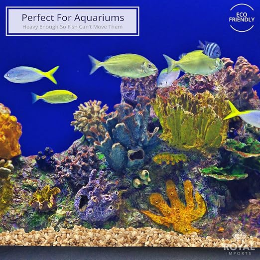 Royal Imports River Rocks, Aquarium Gravel – Natural 0.25" Gravel - 5 lbs | Decorative Ornamental Vase Filler Pebbles for Potted Plants, Terrariums, Vases, Succulents, Fish Tank Gravel, DIY & Crafting