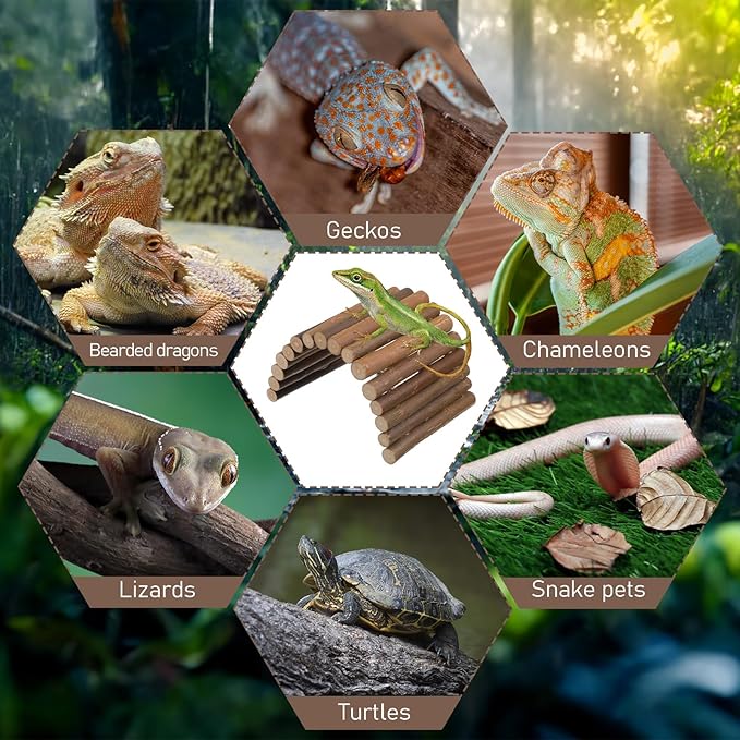 Natural Wood Hideout Hamster Bridge Tunnel Ladder Hamster Cage Accessories Small Animal Molar Chew Toys Reptile Tank Habitat Decor Hiding Hut for Chinchillas Lizards Mice Spiders Rabbit Brown