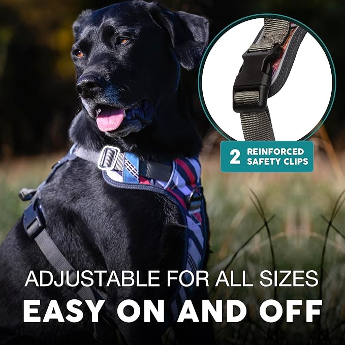 Embark Adventure Dog Harness for Small, Medium & Large Dogs – No Pull, Reflective Trim, Heavy Duty Oxford, 2 Leash Clips, Gel-Lined Handle, Soft Padded