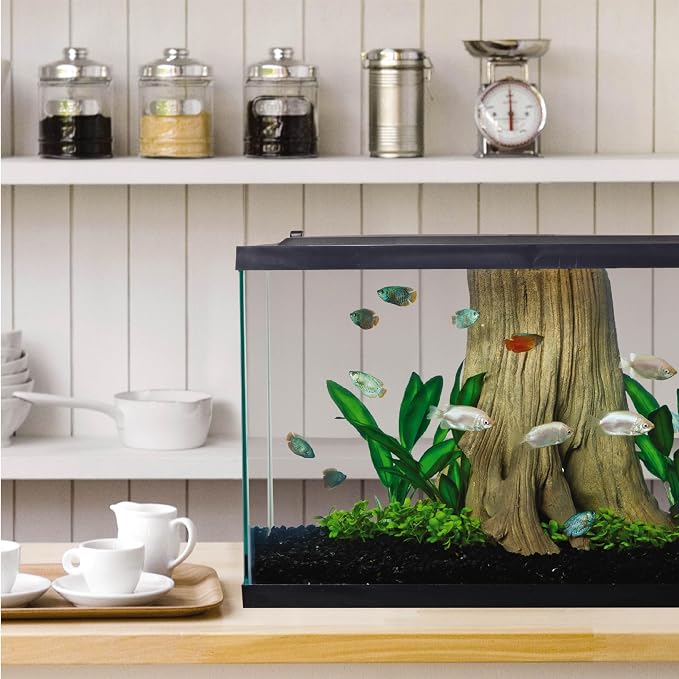 Tetra 29 Gallon Complete Tropical Fish Tank Kit