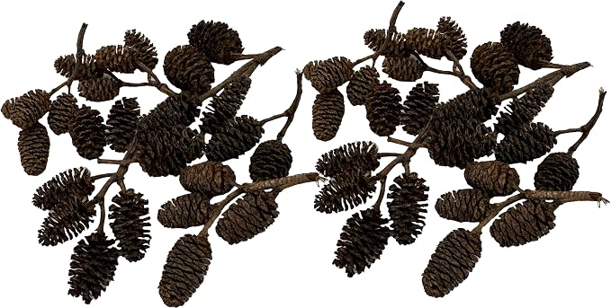 Awesome Aquatic 50 Alder Cones, Blackwater, Betta Shrimp Habitat | Natural tannins Botanicals Softwater Leaf litter Biofilm surface Water enrichment Natural décor Easy to use