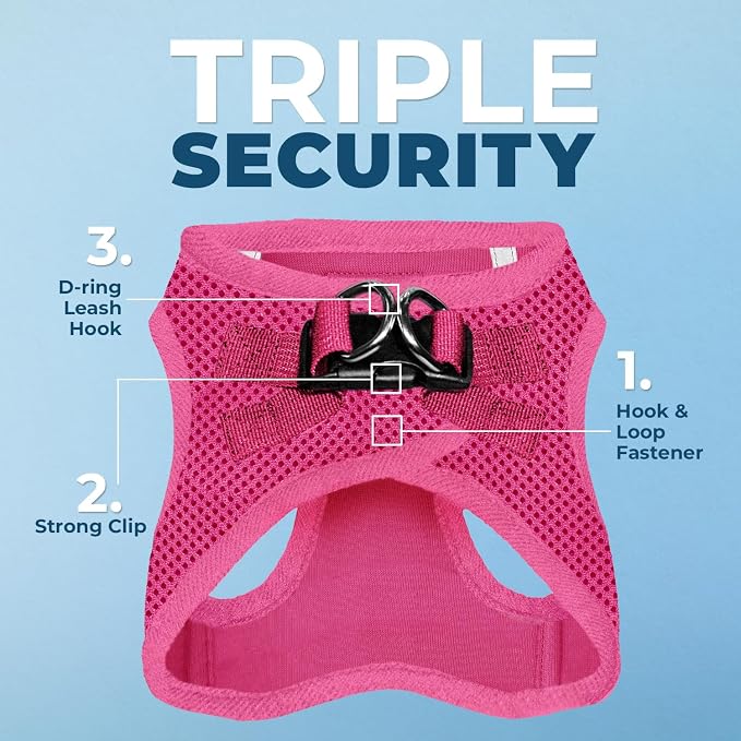 Best Pet Supplies Voyager Step-in Air All Weather Mesh Harness and Reflective Dog 5ft Leash Combo with Neoprene Handle, for Small, Medium and Large Breed Puppies - Set (Fuchsia), XXX-Small