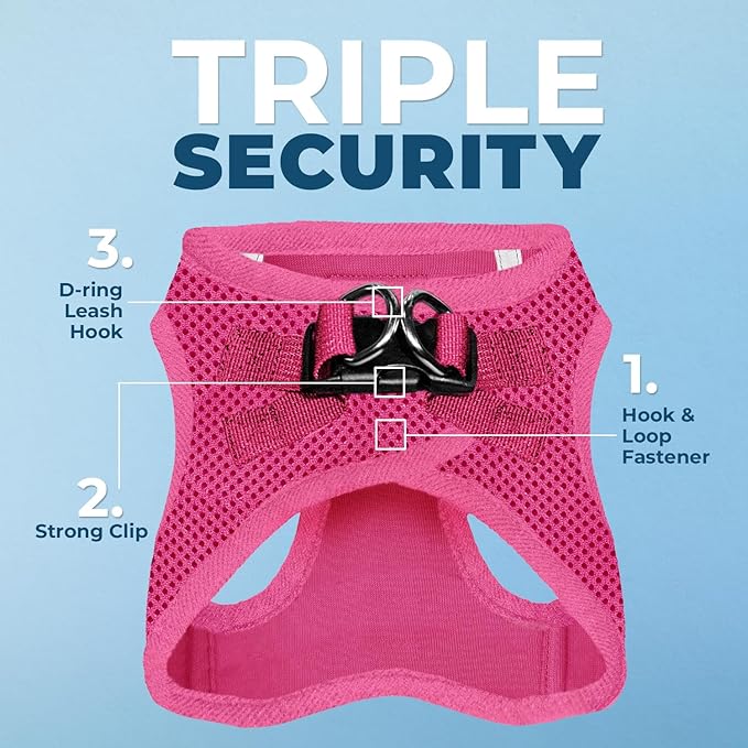 Best Pet Supplies Voyager Step-in Air All Weather Mesh Harness and Reflective Dog 5ft Leash Combo with Neoprene Handle, for Small, Medium and Large Breed Puppies - Fuchsia, XX-Small