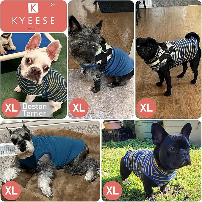 KYEESE 2Pack Dog Sweater Pullover Dog Sweaters for Small Dogs Male Warm Pet Coats Stretchy Pets Clothes Soft Pet Sweatshirt Turtleneck Dogs Clothes