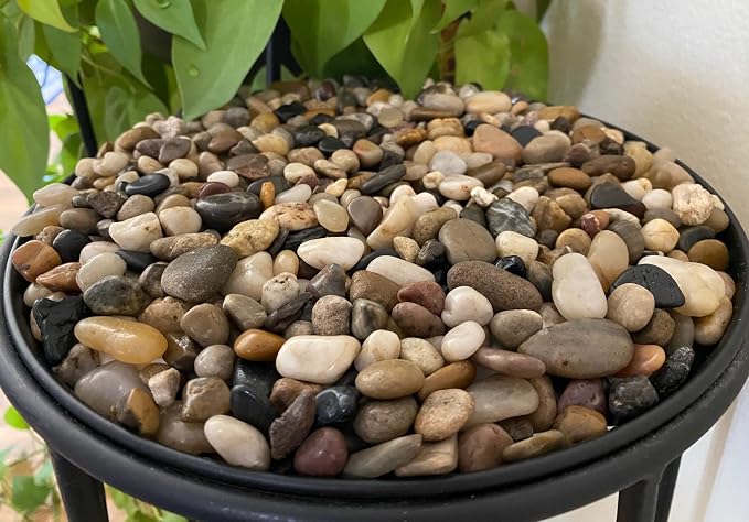 Mixed Color Polished Rocks for Plants, Decorative Pebbles, 3/8 Inch, 10 lb