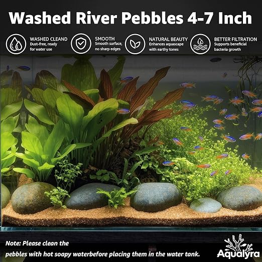 5lbs Natural Large River Rocks, 4"-7" Premium Pebbles, Decorative Stones | Water-Washed, Hand-Picked, for Fish Tank, Garden, Paving, Fountain, Walkways and Outdoor Landscaping Pathways, Backyard