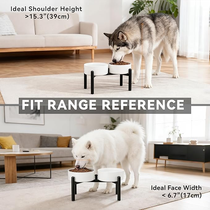 Dog Bowls Elevated - Ceramic Raised Dog Bowl with Non Slip Steel Stainless Stand - No Spill and Heated Feeding Station - Food and Water Dish Set for Medium to Large Pet - Each Holds 7.5 Cups – White