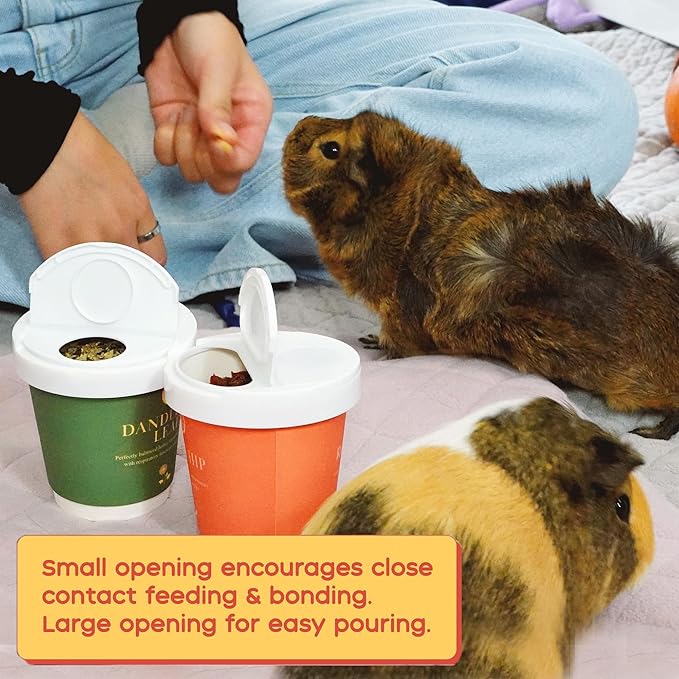 GuineaDad Organic Treat Sampler - Guinea Pig Herbal Treats - Guinea Pig Food in 6 Flavors - 6 Pack - Guinea Pig Treats Help with Bonding - High in Nutrition, No Preservatives, No Additives