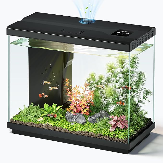 2.2 Gallon Small Fish Tank, Betta Fish Aquariums Black | with 4-in-1 Filter Pump, LED Light, Temperature Display, Fan & Surface Intake Design, for Home Office, Beginner Friendly