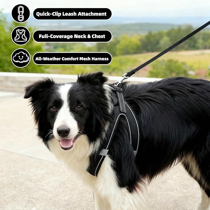 SMOUATOU All Weather Mesh Step in Vest Harness for Small and medidum Dogs and Cats, Adjustable Soft Padded Dog Vest with Easy Control Handle for Dogs Pets (Black, M)