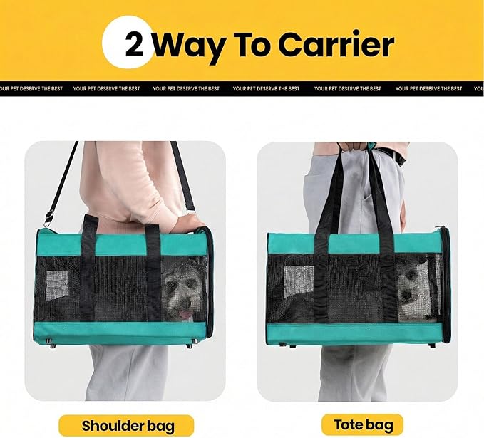 Conlun Dog Carrier Soft Sided, Large Cat Carrier with Inner Safety Leash, Pet Transport Carrier for Large Cats and Medium Dogs up to 20 Lbs, Collapsible Travel Puppy Carrier Bag -Turquoise L
