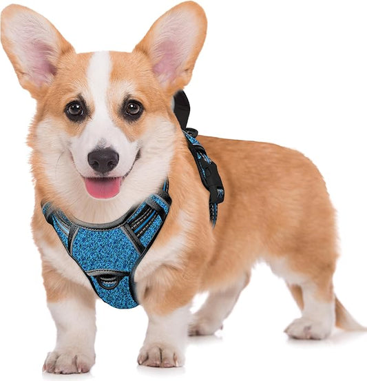 BARKBAY No Pull Dog Harness Large Step in Reflective Dog Harness with Front Clip and Easy Control Handle for Walking Training Running with ID tag Pocke(Blue/Black,M