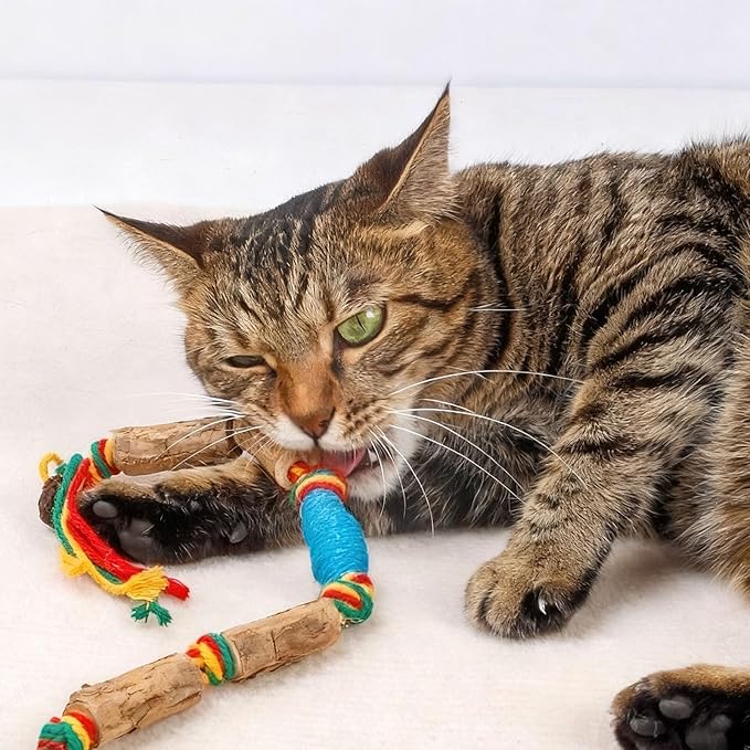 IUHKBH Silvervine Cat Toy, 2 Packs Colorful Chew Ropes with Silvervine Sticks and Refillable Natural Catnip Bag for Teeth Cleaning Safe Interactive Toy for Indoor Cat Kitten