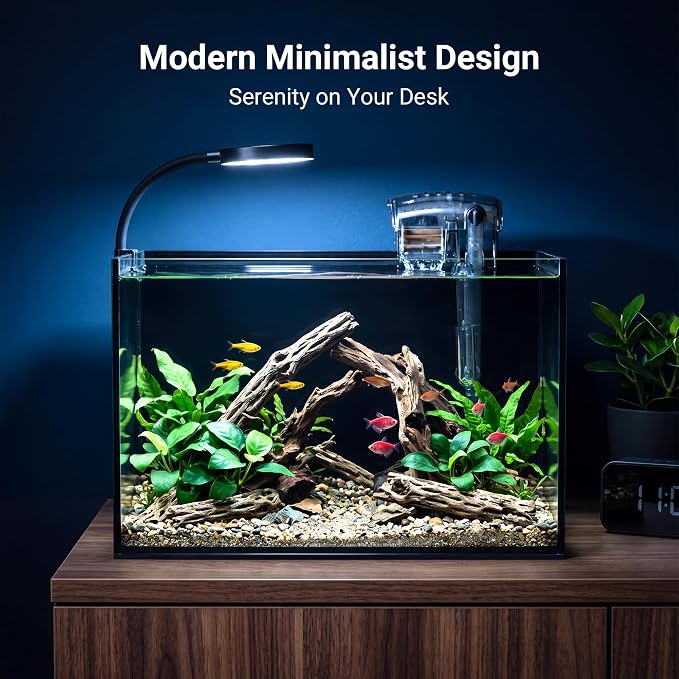 Smart Fish Tank Aquarium Kit: 2.8 Gallon Ultra-Clear Rimless Desktop Fish Tank with LED Light & Filter, Includes Landscape Stone, Complete Set for Small Fish, Shrimp, or Betta, Black