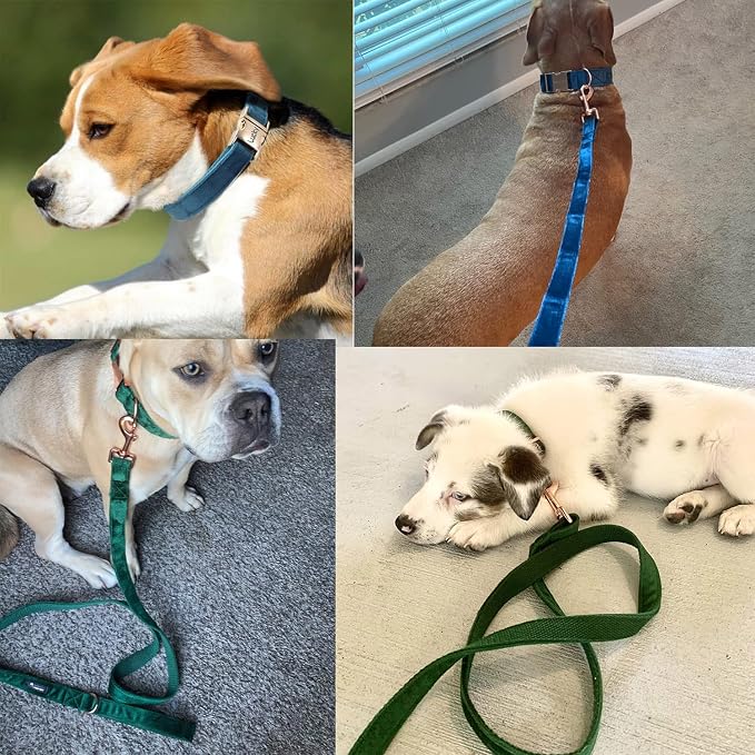 Velvet Dog Collar and Leash Set with Quick Release Metal Buckle | Bright & Stylish Leash and Collar Set, Soft Heavy Duty Pet Collars Adjustable for Samll Medium Large Dogs or Cats