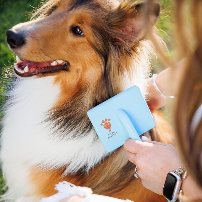 Flying Pawfect Dog Slicker Brush for Grooming Pet Hair - Best For Poodle & Golden Doodle - Long Haired Brush For Dogs - Goldendoodle Long Pins Tool For Dematting- Ideal Gift for Pet Groomers