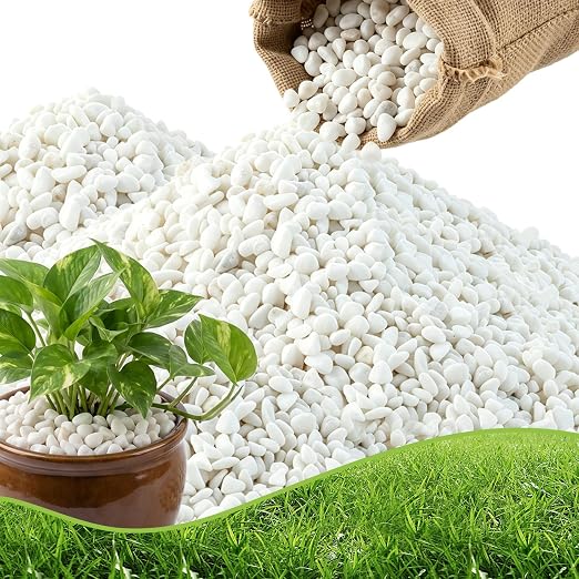 CJGQ 1/4" Small White Rocks for Plants,Potting,Succulents Aquarium Fish Tank Garden Vases Decorative Pebbles Gravel Rocks Stones 45lb