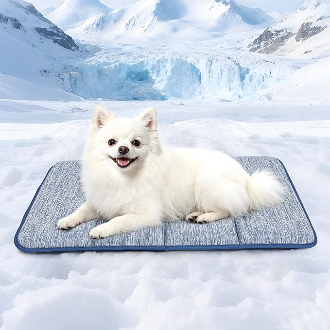 Cooling Dog Mat Q-Max>0.5 - Rapid Cooling Tech, Thin Breathable Crate Pad, Portable Washable Summer Mat, Chill Soothing Fabric - 24"x18" Small Dog/Cat, Wander Blue