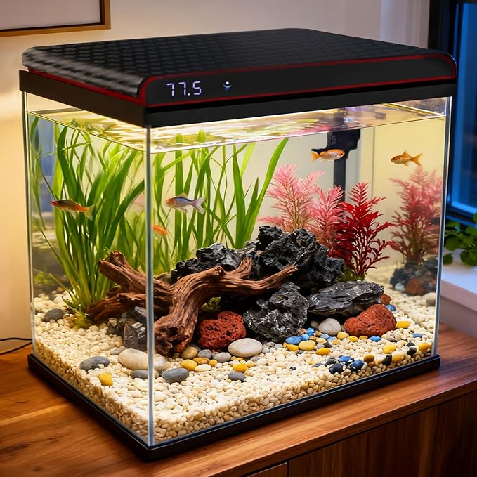 Coospider 10 Gallon Glass Fish Tank, Aquarium Starter Kit, Simple Self-Cleaning Aquarium with 3-Color LED Lights, Quiet Filter Pump, Temperature Monitoring for Fish, Shrimp, Kids Gift Ideas
