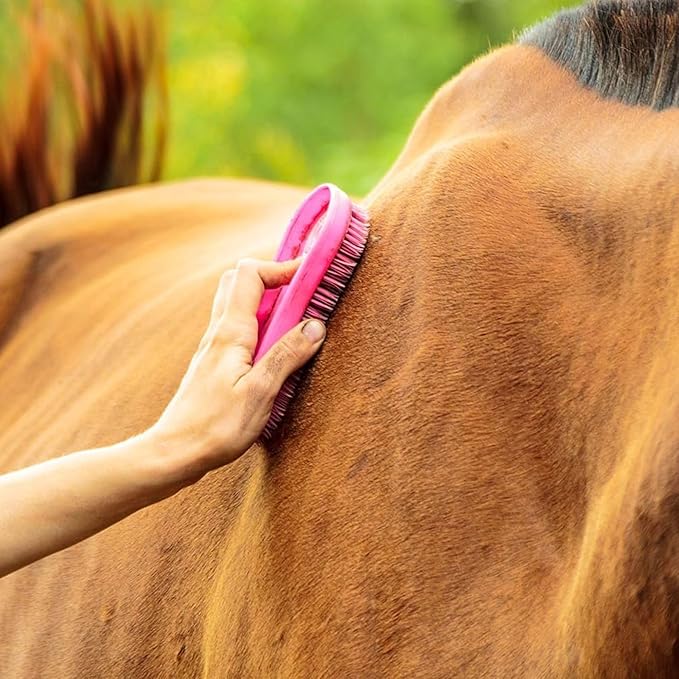 Intrepid International Magic Horse Brush, for Horse Grooming Kit w/Durable Plastic Bristles, Horse Brushes for Grooming, Dark Pink