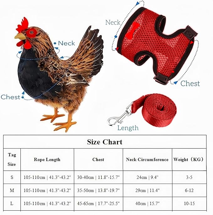 3 Pack Chicken Harness and Leash Set Adjustable Hen Vest with Matching Belt Breathable Mesh Training Harness Pets Leash for Hens Duck Goose Small Pet-Black&Red&Pink,L