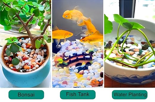 Small Aquarium Gravel for Fish Tank, Natural River Rock Pebbles for Plants Indoor, Pea Gravel for Landscaping, Aquarium Substrate (1Lb, 0.4" to 0.8")