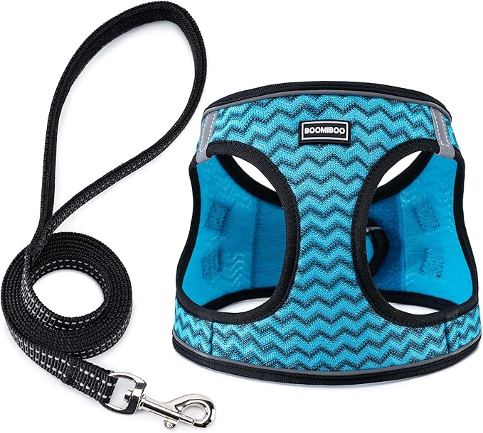 BOOMIBOO Dog Harness with Leash Set, No Pull Adjustable Reflective Step-in Puppy Pet Vest Harnesses for Small Medium Large Dogs and Cats,Blue Stripe L