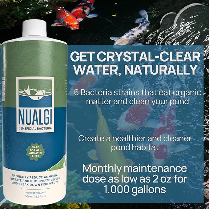 Nualgi Beneficial Bacteria, 16.9 oz Enzyme Bacteria for Freshwater & Organic Ponds, Starter Bacteria for Outdoor Water Gardens, Natural Pond Stabilizer for Fish, Pets & All Aquatic Life