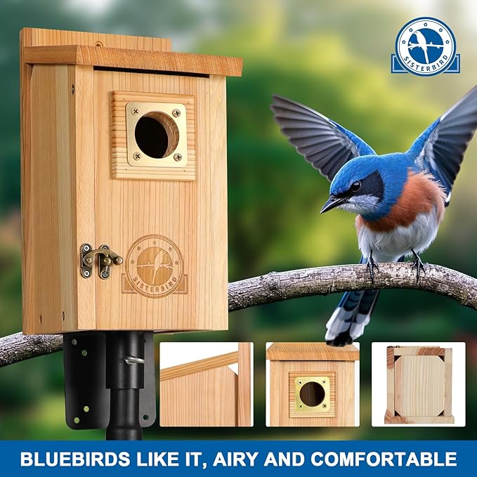 SISTERBIRD Bird Houses for Outside Clearance with Copper Guard, Cedar Bird House Outdoor, Bluebird Finch Swallow Wren Chickadee