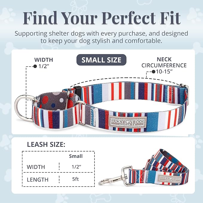 Lucky Love Dog Martingale Dog Collar & Leash - Adjustable, No-Slip, Durable, Comfortable, Soft Webbing, & Stylish Patterned Dog Collar & Leash Set for Male and Female Dogs - Linus Combo, Small