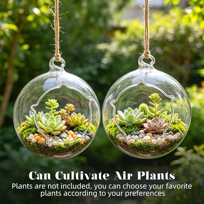 Terrarium Globe Kit, 4.7" Hanging Terrarium for Plants | Small Floating Garden with Wooden Display Stand for Succulents, Indoor Nature Decor, Easy Assembly, Gift for Plant Lover