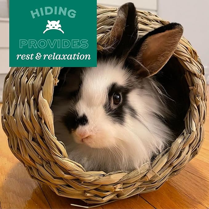 Oxbow Animal Health Timothy Club Mat, Large, Guinea Pig Hideout, Guinea Pig Toys, Bunny Toys, 100% Timothy Hay, Bunny Enrichment for Rabbit Cage, Rat Cage Accessories (Pack of 2)