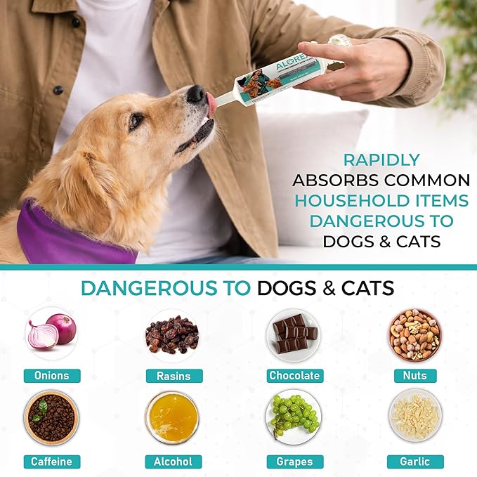 (60ml) Activated Charcoal for Dogs & Cats - Emergency Poisoning Aid Paste | Veterinary-Grade Digestive Aid for Toxin Binding, & Upset Stomach | Fast Acting Pet First Aid Kit - Pets Up to 80 lb