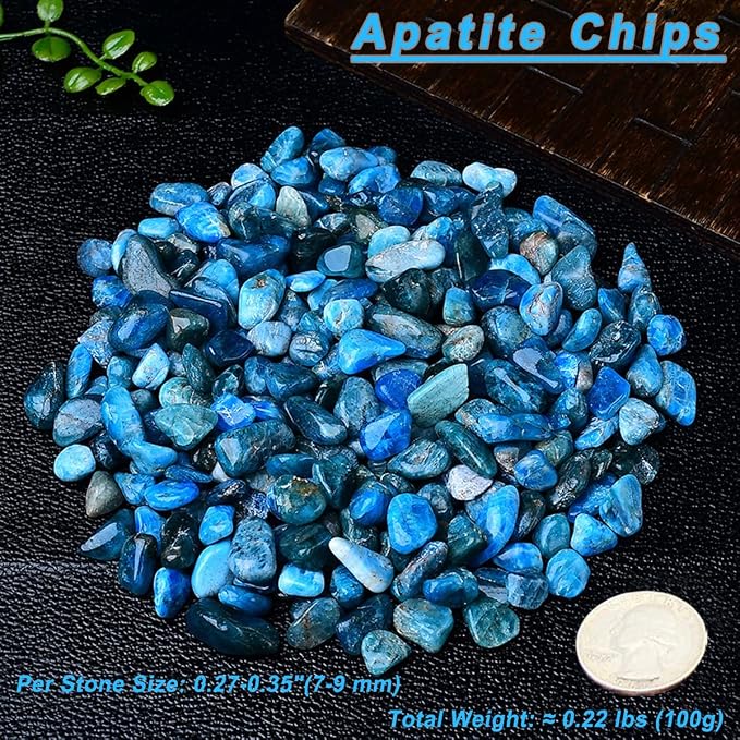 Erliway 100g Natural Apatite Crystal Chips 7-9mm Tumbled Stones | Small Crushed Crystal Stone, Polished Crystals Chips for Fish Tank, Healing Tumbled Rocks for Reiki Jewelry Making Home Décor