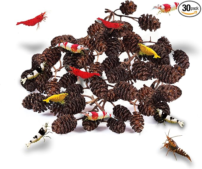 JOR 30 Pack Alder Pine Cones, Aquarium Decor Benefits Shrimp and Tropical Fish, Lower pH, Softens Water, Foraging Chew Treat for Parrots & Guinea Pig