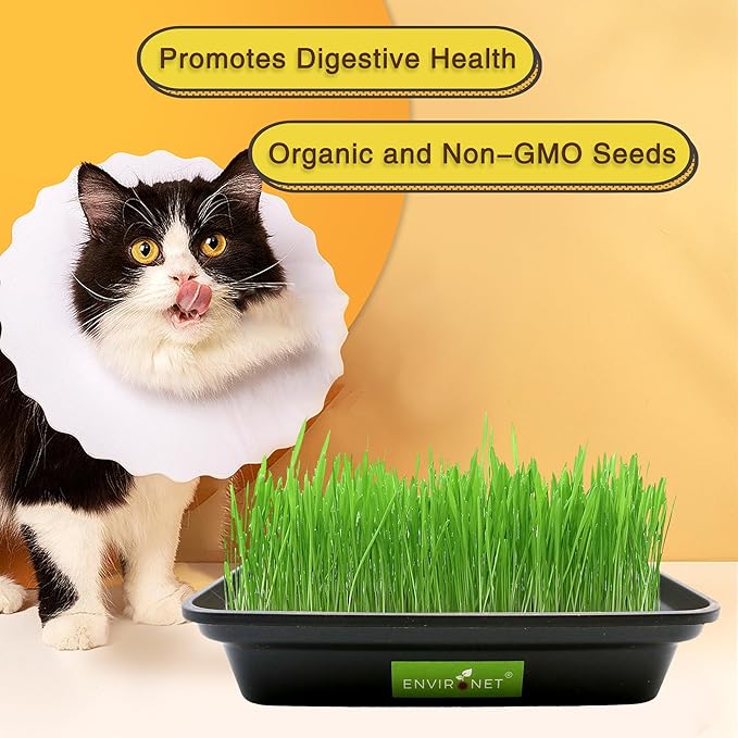 Hydroponic Cat Grass for Indoor Cats | Organic Cat Grass Seeds Mix with Black Low-Top Planter | Pet Safe and Non-GMO | Natural Indoor Grass for Cats' Digestion Health