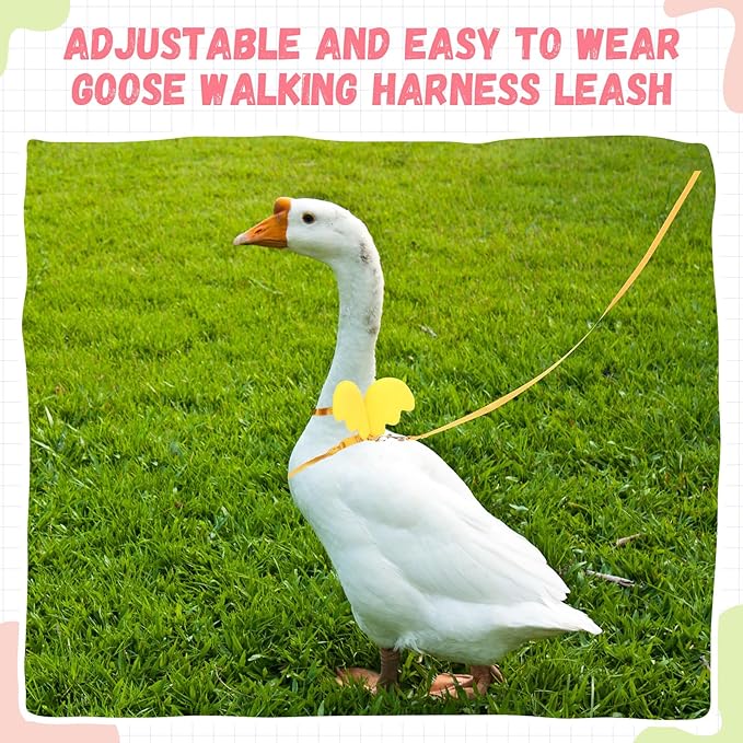 SATINIOR 3 Pack Harness and Leash for Pet Ducks, Real Duck Collar and Leash Soft and Adjustable Harness Training Traction Rope Collar for Young Adult Pet Goose Chicken Hen (Pink Green Yellow,S)