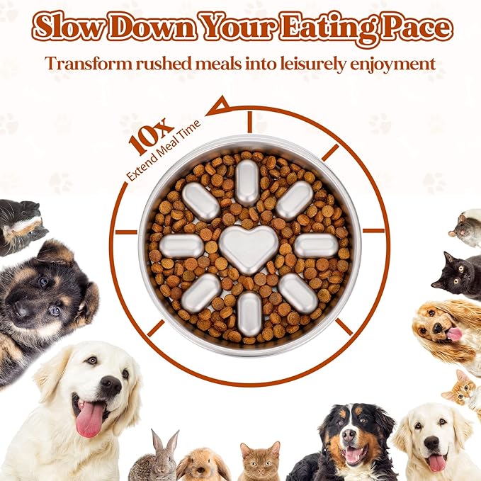 Stainless Steel Slow Feeder Dog Bowls, 2 Cups Metal Slow Feeder Bowl for Small & Medium Dogs, Pet Feed Bowl with Non-Slip Mat Base for Fast Eaters to Slow Down Eating, Dishwasher Safe, 1 Pack