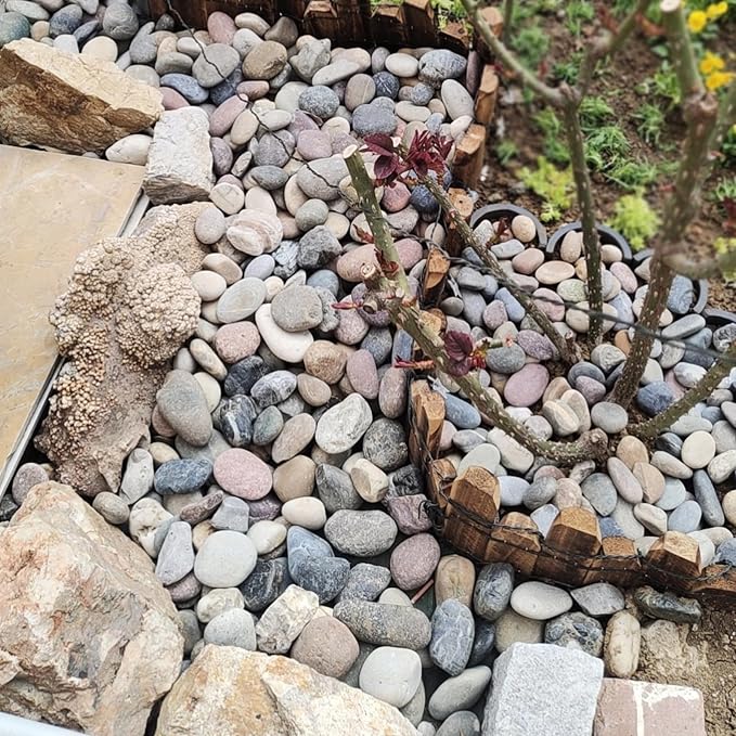 FANTIAN 10 lbs River Rocks, 2-3 Inch Natural Pebbles for Plants | Decorative Rocks Stones for Landscaping, Garden, Indoor Plant, Aquarium, Backyard, Water Fountains, Walkway