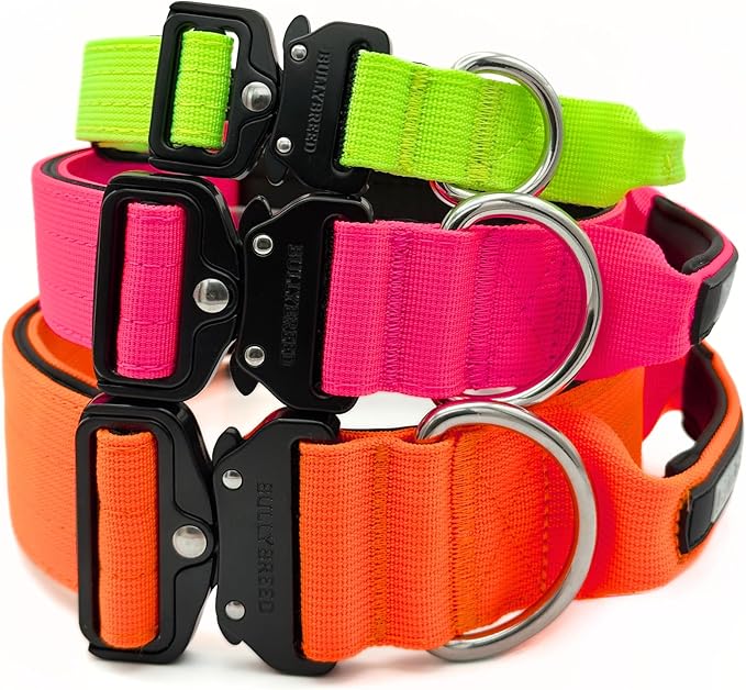 Tactical Dog Collar for Puppy, Heavy Duty Puppy Collar, Dog Collar for Small Dogs, Waterproof Dog Collar, Dog Training Collar, Quick-Release Metal Buckle, Adjustable Sizes – BULLYBREED (Orange, Small)